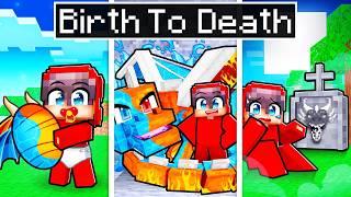 BIRTH TO DEATH of an ELEMENTAL DRAGON in Minecraft!