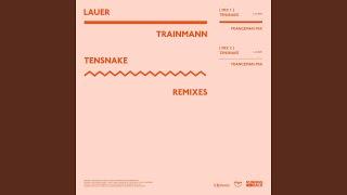 Trainmann (Tensnake Franceman Mix)