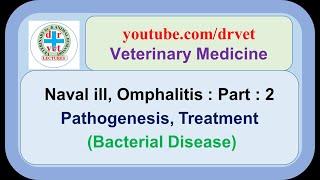 Naval ill Part 2 : pathogenesis, treatment