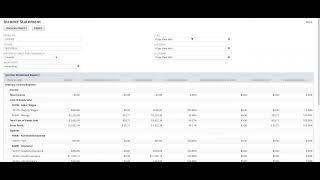 Consule Solutions: Custom Comparative Income Statement and Balance Sheet