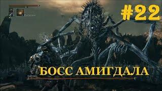 Bloodborne #22 БОСС АМИГДАЛА, граница кошмара