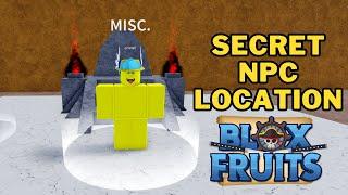 Where is The Secret NPC in Blox fruits? | After killing Don Swan | Secret NPC Location