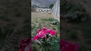 Quran recitation #viralvideo #beautful #travel #ytshaorts #islamicscholar #viral #post #shortsvideo