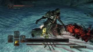 Ds2 Fume Knight SLev 1 No Roll/block/parry/damage (w. Velstat helmet)