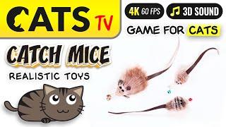 CAT TV - Catching mice  FOR CATS  4K  3 HOURS