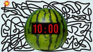 10 Minute Timer Bomb [WATERMELON] 