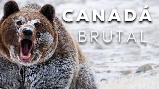 CANADA: Wild Territory [Full Documentary]