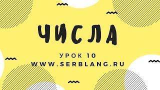 Сербский язык.  Урок 10. Числа