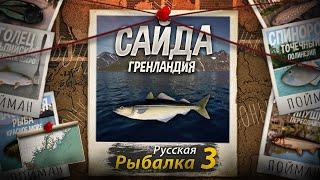 "Мутант" Сайда. Гренландия. Русская рыбалка 3