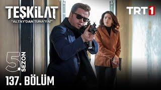 Teşkilat 137. Bölüm @trt1