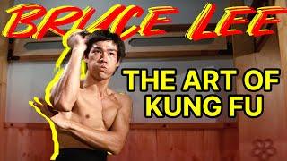 Bruce Lee's classic fightsFighting against jiu-jitsu and karate masters | The Legend of Bruce Lee