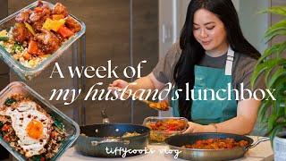 a week of husband’s lunchbox ep. 5  *cozy home-cooked recipes*