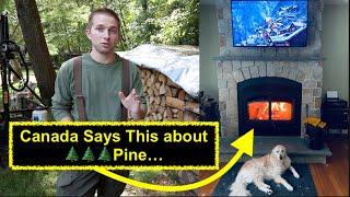 Can you Burn Pine in a Wood Stove / Fireplace?  What Canada Says: