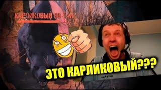 Папич против НЕ КАРЛИКОВЫЙ ЯО - ГАЙ!!!