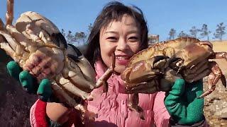 Dozens of pounds of sandfish and several huge king crabs were washed out of the drainpipe!