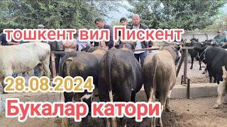 тошкент вил Пискент мол бозори букалар катори 28.08.2024 тел админ+998990858363