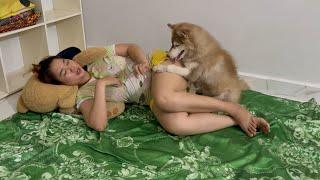 Aww!! When KOUCH Need KOKO help massage but KOKO need to play very very much, finally what's happen!