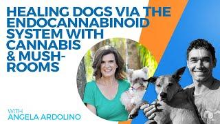 Healing Dogs with Cannabis, Mushrooms and the Endocannabinoid System - with Angela Ardolino