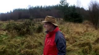 Scudo Camper Day out Trip - Part 2 - A Wooded Wander - East Harptree Woods