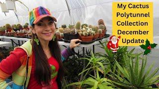 My Cactus Polytunnel Collection December Update | Cactus Collection Tour #cactus #cacti