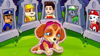 My Friends !!! Please Come Back To Me - So Sad Story | Paw Patrol Ultimate Rescue | Rainbow 3