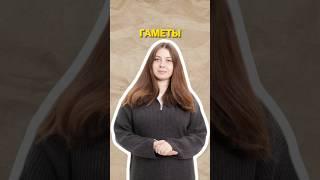 Гаметы #биология #егэ #умскул