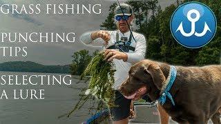 Punching Grass For Bass - Fishing Techniques With Jacob Wheeler