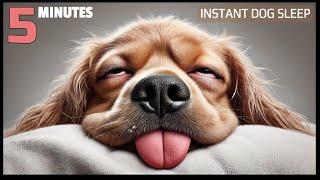 Sounds To Make Dog Sleep in 5 Minutes {Frequency that Alert Dog To Sleep}