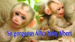 So Gorgeous Mama Ally 's Baby Albert Try To Sitting Try To Leaved From Mama Ally's Holding Hand