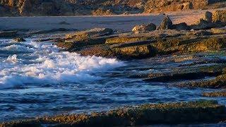 Ocean waves Clip