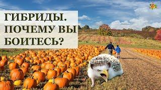 ГИБРИДЫ. ЗА или ПРОТИВ?/ Что такое гибриды, откуда они и как мы их используем?