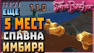 ЕЩЁ 5 МЕСТ СПАВНА ЗОЛОТИСТОГО ИМБИРЯ | Slime Rancher [171]