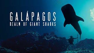 Galapagos: Realm of Giant Sharks HD