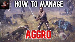 Managing Aggro - Grim Soul 2.6.0