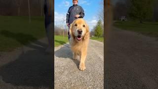 It's his walk ️