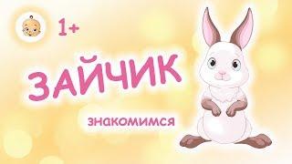 #Короткий #обучающий и поучительный #мультик #про #зайчика