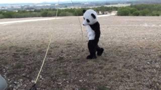 Dude Perfect Panda | Episode 3