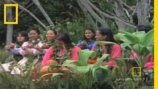Hula | National Geographic