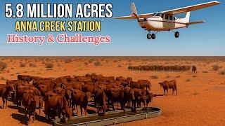 Anna Creek Station: The Largest Cattle Ranch on Earth | Survival, History & Challenge