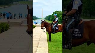 Must-See Spots in America Revealed! Walking Tour
