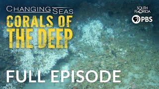 Corals of the Deep - Full Episode