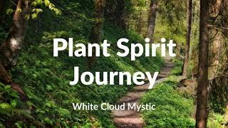 Plant Spirit Journey - guided meditation and shamanic journey