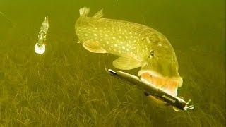 Winter fishing in Ireland wt combos: pike on Mike the Pike. Underwater attacks / strikes.