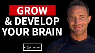  Grow And Develop Your Brain With Proper Nutrition!