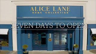 Seven Days to Open | Alice Lane Home Collection