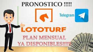 LOTERIA LOTOTURF PRONOSTICO GRATIS 