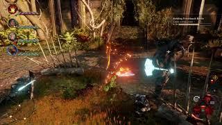 Dragon Age: Inquisition Reaver is the most versatile AoE+Single+Control