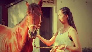 Lady Training Her Horse At Farm Training horse