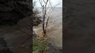 Полноводное Цимлянское водохранилище, Волгодонск