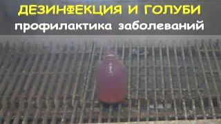 Дезинфекция. Профилактика "Хрипячки"